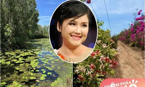 Bên trong trang trại của BTV Thu Uyên: Nhiều góc đẹp mê ly như tranh vẽ, ngát hương đủ loại hoa