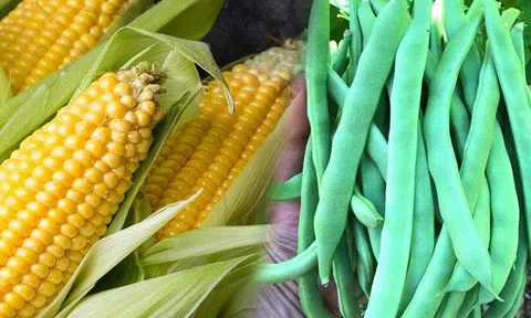 Những loại rau củ quả ít và nhiều thuốc trừ sâu nhất, đi chợ mà thấy thì nên cẩn thận trước khi mua về
