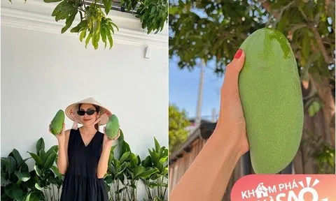 "Nàng dâu nghìn tỷ" Hà Tăng khoe cảnh hái xoài trong biệt thự, kể tên người trồng mát tay