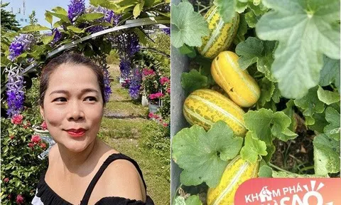 Ca sĩ "đại gia" Mỹ Lệ làm nông dân trong khu vườn đẹp như địa đàng, thú nhận tốn tiền hơn chơi hàng hiệu