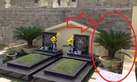 Người xưa dạy “3 không trồng trước mộ, 4 không để trên giường”, đó là những thứ gì? Kiểm tra nhà bạn có phạm phải không?