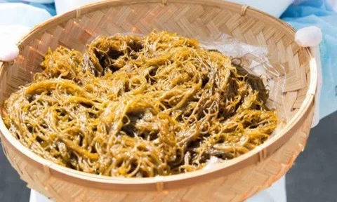 Tảo nâu Mozuku vùng Okinawa kích hoạt “sự tự chết của tế bào” Apoptosis