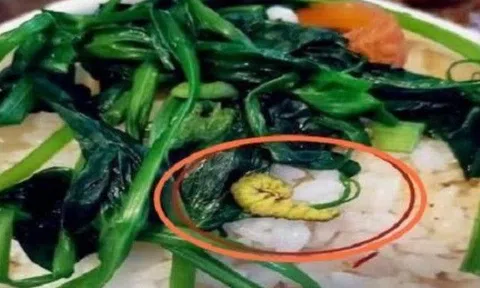 Cô giáo khoe ảnh cơm trưa ở trường mẫu giáo, phụ huynh xem xong kinh hãi