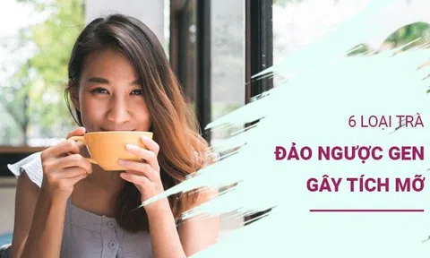 6 loại trà đảo ngược gen gây tích mỡ, giúp bạn thon gọn bất ngờ