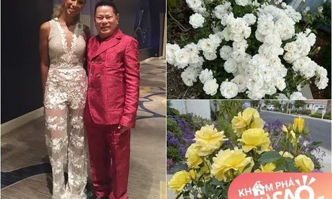 Tỷ phú Hoàng Kiều tuổi già sống nơi bình yên, khoe hoa trong vườn còn làm thơ về gái đẹp