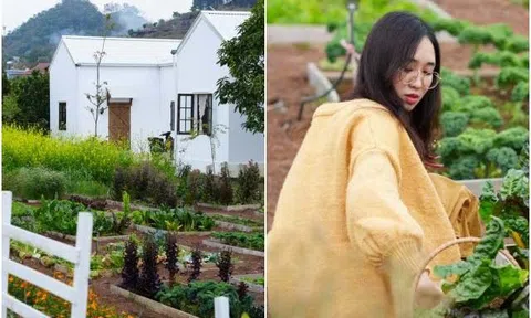 9X Tuyên Quang xinh đẹp "bỏ phố về rừng", chăm nhà vườn 800m2 đẹp như trang trại trời Âu