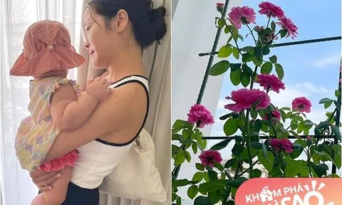 Có nhà đẹp như mơ, "tình địch" của Hương Giang còn được chồng điển trai yêu chiều trồng vườn hoa xinh cho ngắm