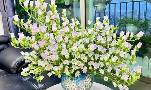 Lạ lùng loài hoa thoạt nhìn như bó rau héo, cắm nước sôi bỏng tay lại nở căng, đẹp như pha lê