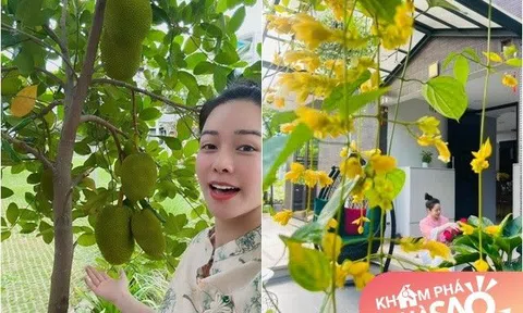 Biệt thự 20 tỷ của Nhật Kim Anh cây trái sum suê, mẹ một con khoe "trồng chơi mà ăn thật"