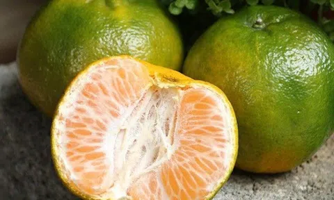 Chuyên gia dinh dưỡng bình chọn 10 loại quả giúp kéo dài tuổi thọ, trẻ hóa da và ngừa ung thư