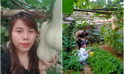 Mẹ đảm Sơn La mách bí quyết pha nước tưới rau 0 đồng, được vườn xanh mướt ăn không xuể