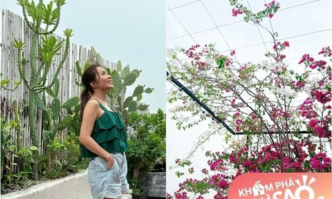 Tiểu thư miền Tây xinh đẹp lấy nhạc sĩ đình đám khoe khu vườn trên cao đẹp như mơ, view đã mắt