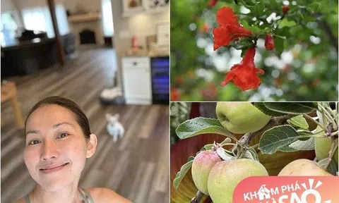 Sống an yên ở Mỹ trong ngôi nhà mơ ước, Kim Hiền khoe khu vườn phủ sương, đầy hoa thơm quả ngọt