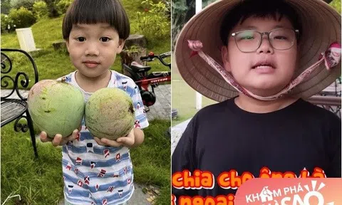 Vợ Xuân Bắc chia sẻ cảnh thu hoạch xoài trong "biệt phủ", quý tử đáng yêu 2 tay 2 trái to đã mắt