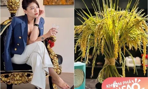 Góc sang chảnh trong biệt thự của nữ BTV giàu nhất nhì VTV: Chiếc ghế như "ngai vàng", cắm cả hoa và... lúa