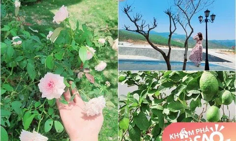 Vợ Mạnh Trường mát tay trồng hoa trái trong khu biệt thự "khủng" trên núi, gia chủ cũng mê mẩn muốn ở ngay