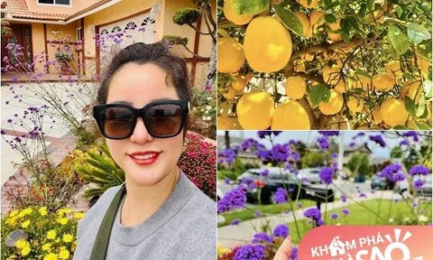 Thăm căn nhà thứ 2 của mình, Thúy Nga sốc vì tưởng lộn nhà Ngọc Huyền: Hoa tự mọc quá đẹp, quả chanh to như quả bưởi