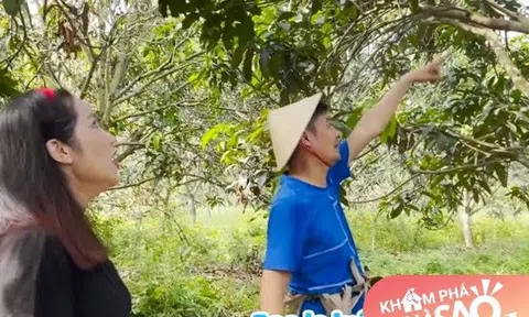 MC Cát Tường đến thăm vườn của "đại gia" Tiết Cương, 4.000 cây vàng không bán nhưng cuối cùng phải bỏ chạy!