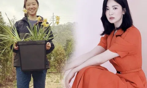 Mỹ nhân thừa nhận không có nhan sắc, vẫn đánh bại được nữ thần Song Hye Kyo khoản ăn mặc