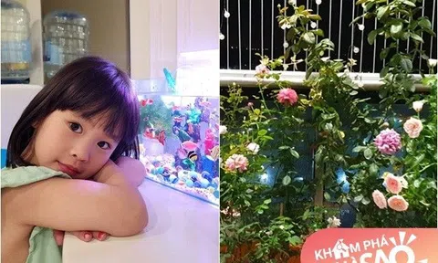 Diễn viên "Phía trước là bầu trời" sống cùng vợ đẹp con xinh trong căn nhà lãng mạn, làm bể cá cho con gái đẹp mê