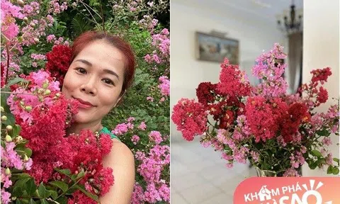 Nữ đại gia showbiz Việt có khu vườn hàng nghìn m2 "cuồng" một loài hoa gọi hè, trồng đủ màu rực rỡ