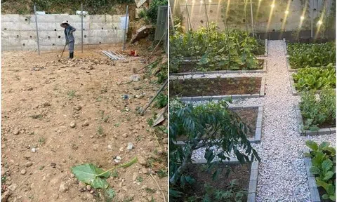 Tròn mắt với bảng phí cải tạo vườn của mẹ đảm Quảng Nam, chi tiết từng hạng mục, biến đất trống thành vườn xịn