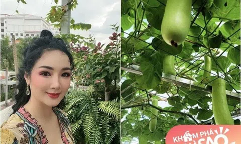 Khu vườn trên sân thượng biệt thự nhà Hoa hậu Giáng My: Đủ loại cây trái hoa thơm, có dàn bầu sai lúc lỉu