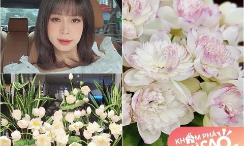 Vợ Mạnh Trường trưng cả một "vườn" hoa sen tuyệt đẹp trong nhà: Danh hài Minh Vượng, Giám đốc Diễm Quỳnh cùng sở thích