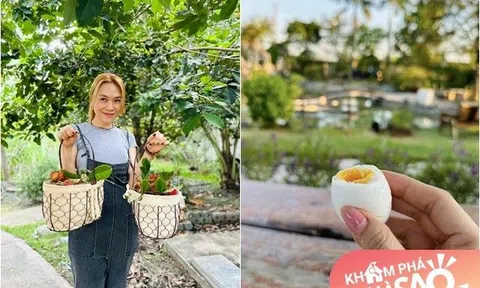 Mỹ Tâm khoe thu hoạch chôm chôm khiến fan thắc mắc hái ở đâu, từng hé lộ khu vườn "đi mỏi chân không hết"
