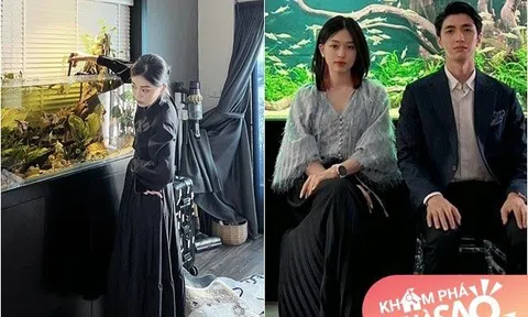 Chồng Á hậu Phương Nga làm bể cá tại nhà luôn bị vợ đe dọa rán cá, giờ làm hẳn bể 4m "đã mắt"