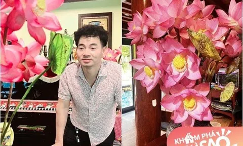 Xuân Bắc khoe hoa sen "nóc nhà" cắm trong không gian nhà vườn nhưng tự ví mình như "cún xem tát ao"