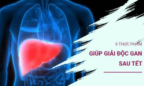 6 thực phẩm giúp giải độc gan, Tết ai cũng nên chăm dùng