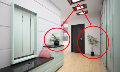 Trước nhà trồng 4 loại cây này cẩn thận tai ương, tiền bạc không vào nhà được