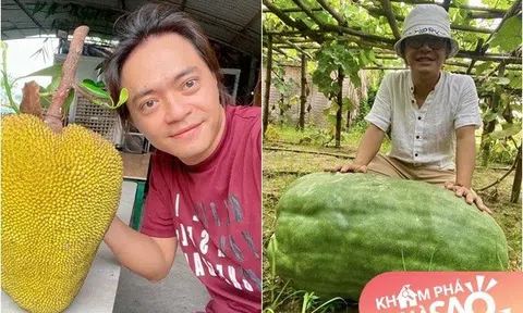 Khu vườn của Giang Còi sau 2 năm cố nghệ sĩ qua đời: Con trai khoe mít trái tim, quả khổng lồ gây kinh ngạc