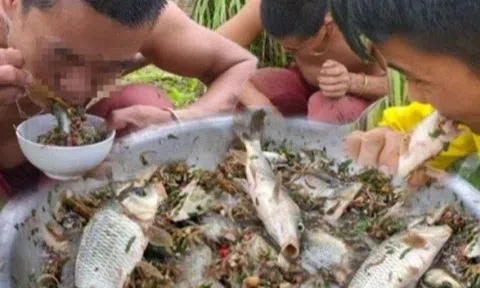 Vắt chanh vào thịt bò hay ngâm cá sống vào nước măng chua rồi ăn có ngon và lợi cho sức khỏe?