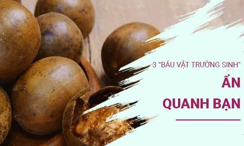3 “báu vật trường sinh" ẩn quanh bạn, sẽ là một thiệt thòi lớn nếu không biết