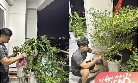 MC Nguyên Khang hiếm hoi khoe cơ ngơi có ban công rộng ngập tràn cây và hoa, cả dàn sao Việt khen "giỏi và giàu"