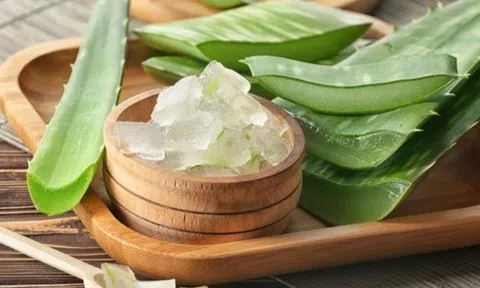 10 thứ bạn không bao giờ ngờ tới được WHO xếp vào danh sách có thể gây ung thư