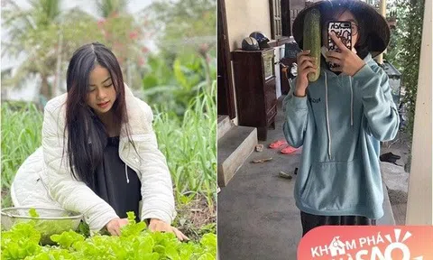 Á hậu 1 Miss World Việt Nam 2023 sống trong cơ ngơi khang trang, nhà ở quê của Á hậu 2 lại rất giản dị