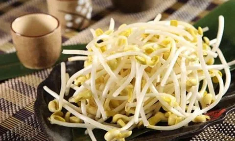 Cổ vũ quá hăng trong đêm nhạc Black Pink khiến giọng khàn đặc, “bỏ túi” ngay cách chữa cực đơn giản và hiệu quả này