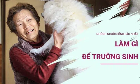 Những người sống lâu nhất thế giới thường làm 5 việc này mỗi chiều, ngược lại với nhiều người hiện đại