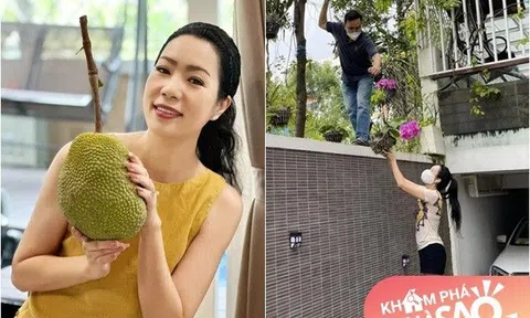 Trịnh Kim Chi trồng 3 năm mới được 1 trái mít, cảnh làm vườn cùng chồng trong biệt thự 10 tỷ gây chú ý