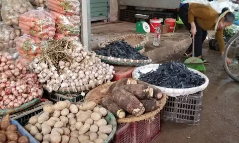 8 loại rau là "vua" ngừa ung thư được WHO công nhận, một loại bán đầy chợ Việt nhưng nhiều người ngại ăn