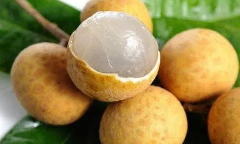 Gia đình ở Sài Gòn giữ thói quen ăn nhãn như ăn cả đống hóa chất, sâu bệnh, bác sĩ lắc đầu khuyên nên bỏ ngay