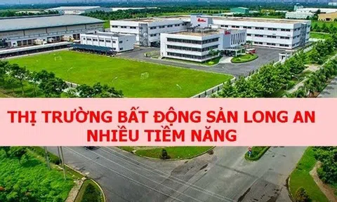 Bất động sản Long An - Điểm đến hấp dẫn của các nhà đầu tư