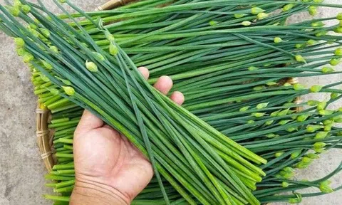 Đi chợ thấy 3 loại rau này mua ngay còn kịp vì có cả kho dinh dưỡng lại không lo dính hóa chất