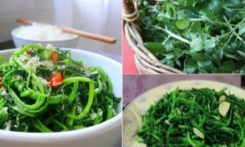 Loại rau vừa được công bố “tốt nhất thế giới” có đầy ở Việt Nam, nhưng nhiều người ăn sai cách dễ tổn thương gan