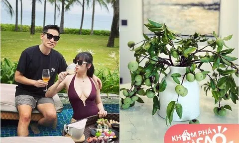 Vợ xinh đẹp của BTV Quốc Khánh cắm loại quả thơm nức nhưng mãi "không ra hồn", chỉ thay 1 chi tiết nhìn khác hẳn