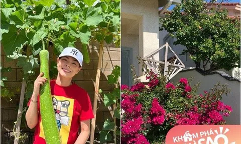 Thanh Thảo khoe: "Em đang có bầu, bầu sai trái ăn không kịp luôn!"
