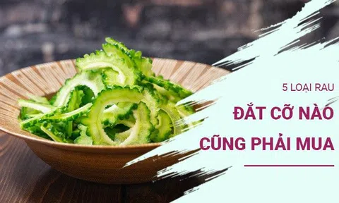 5 loại rau này dù đắt cỡ nào cũng phải mua, dư lượng thuốc trừ sâu bằng 0, người lớn trẻ nhỏ yên tâm ăn